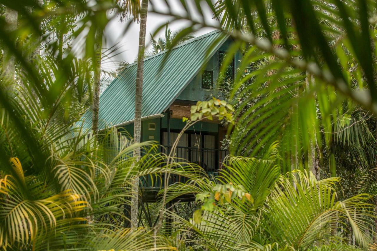 Kedara Village Sultan Bathery Eksteriør billede
